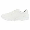 Geox Baskets Basses - White