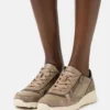 Geox ALLENIEE - Baskets Basses - Dark Beige