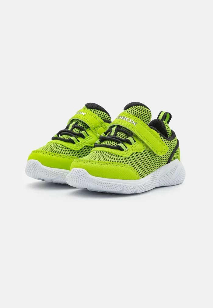 Geox SPRINTYE BOY - Baskets Basses - Lime/black – Image 2
