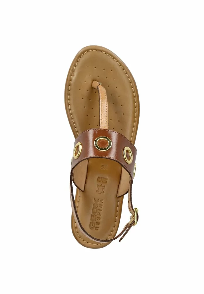 Geox Tongs - Braun – Image 3