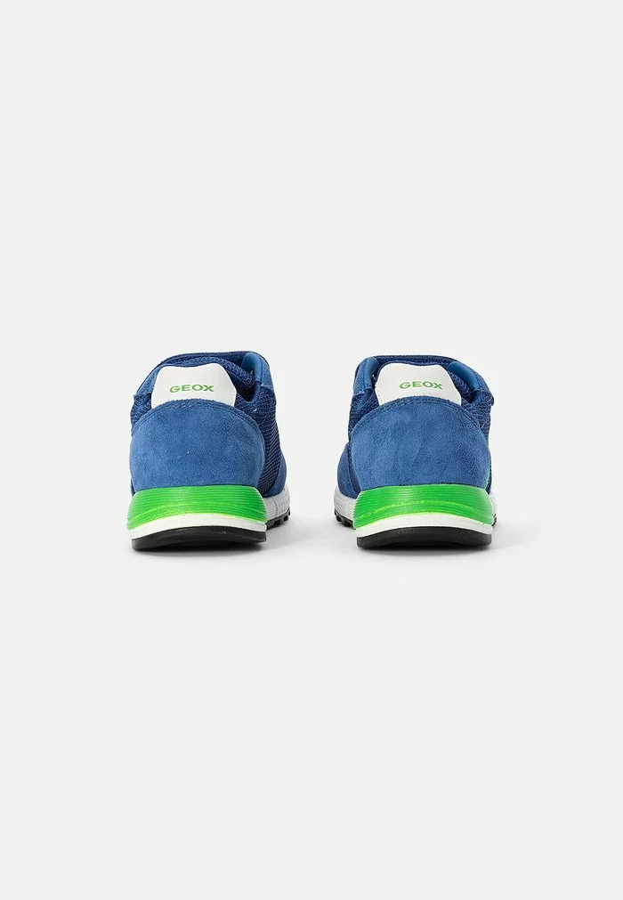 Geox ALBEN BOY - Baskets Basses - Royal/green – Image 3