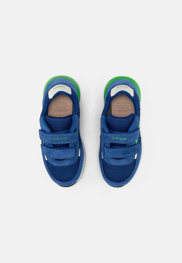 Geox ALBEN BOY - Baskets Basses - Royal/green – Image 4
