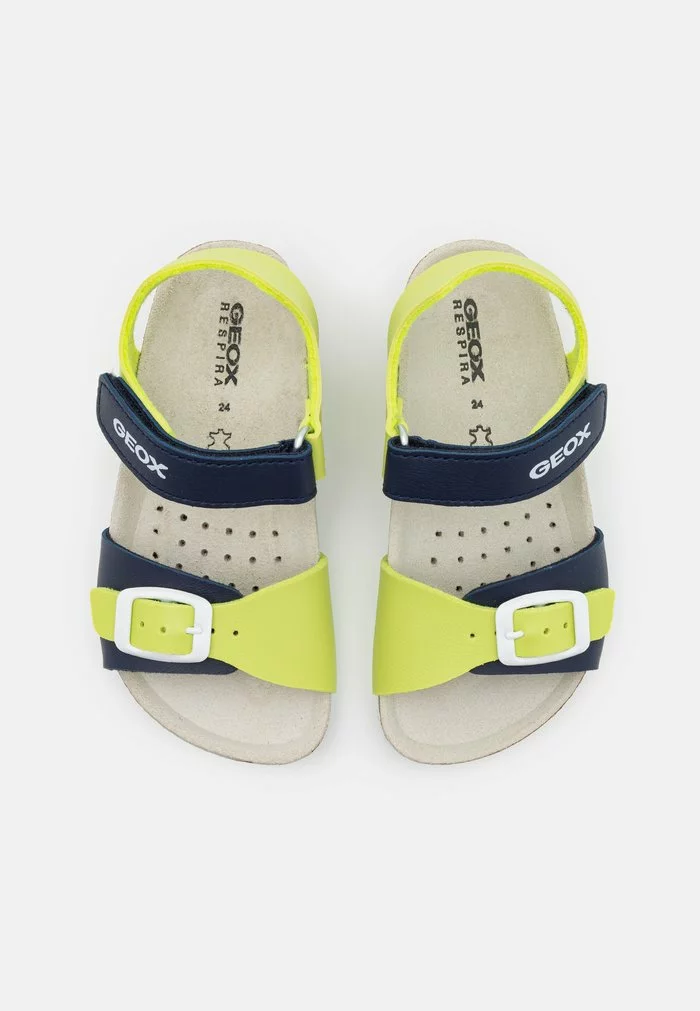 Geox GHITA BOY - Sandales - Lime/navy – Image 4