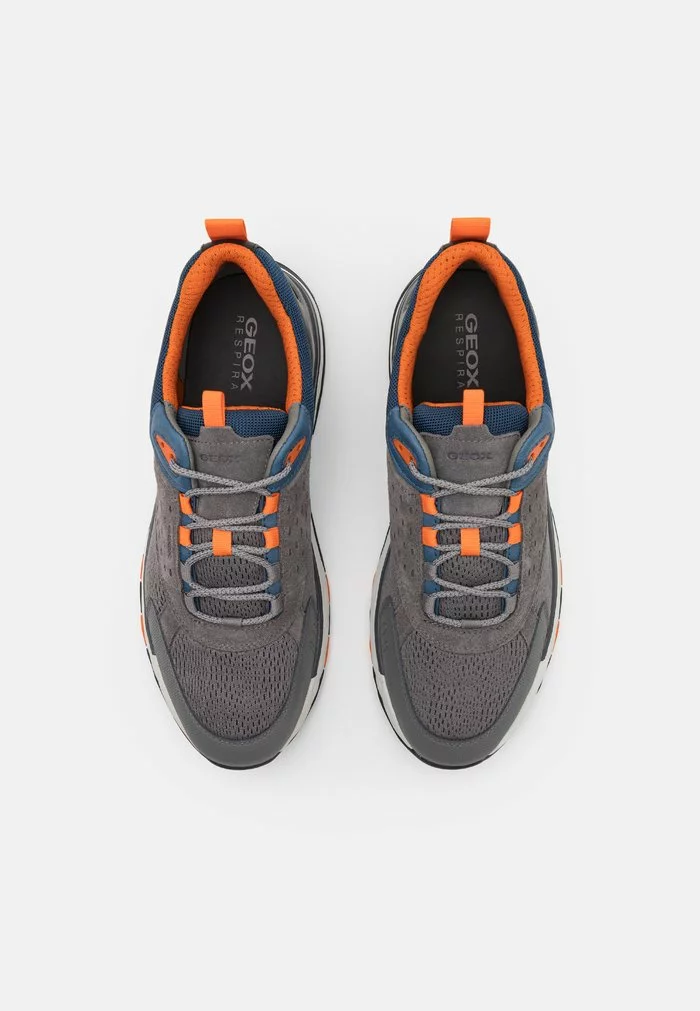 Geox STERRATO - Baskets Basses - Grey – Image 4