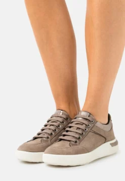 Geox DALYLA - Baskets Basses - Dark Beige