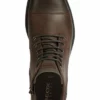 Geox JAYLON - Bottines à Lacets - Dk Coffee
